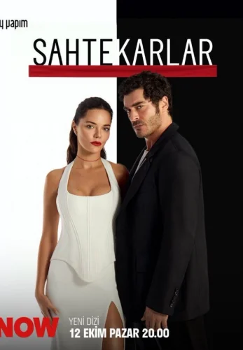 Мошенники 2025 турецкий сериал